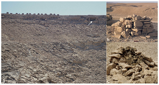 Religions 14 01472 g041