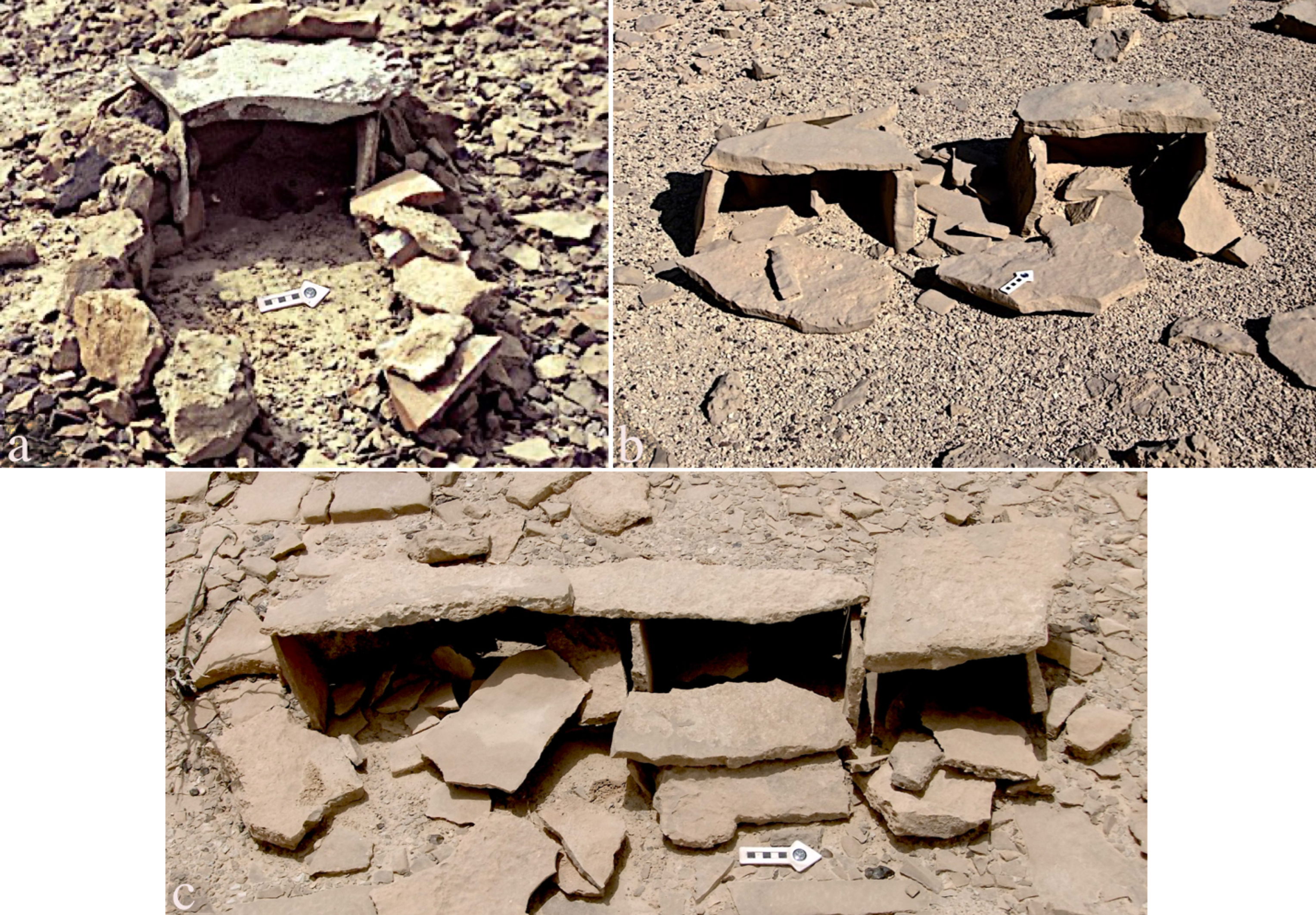 Religions 14 01472 g047