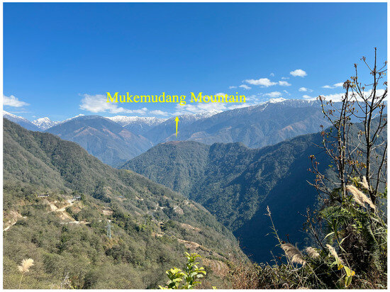 Religions 15 00382 g001b