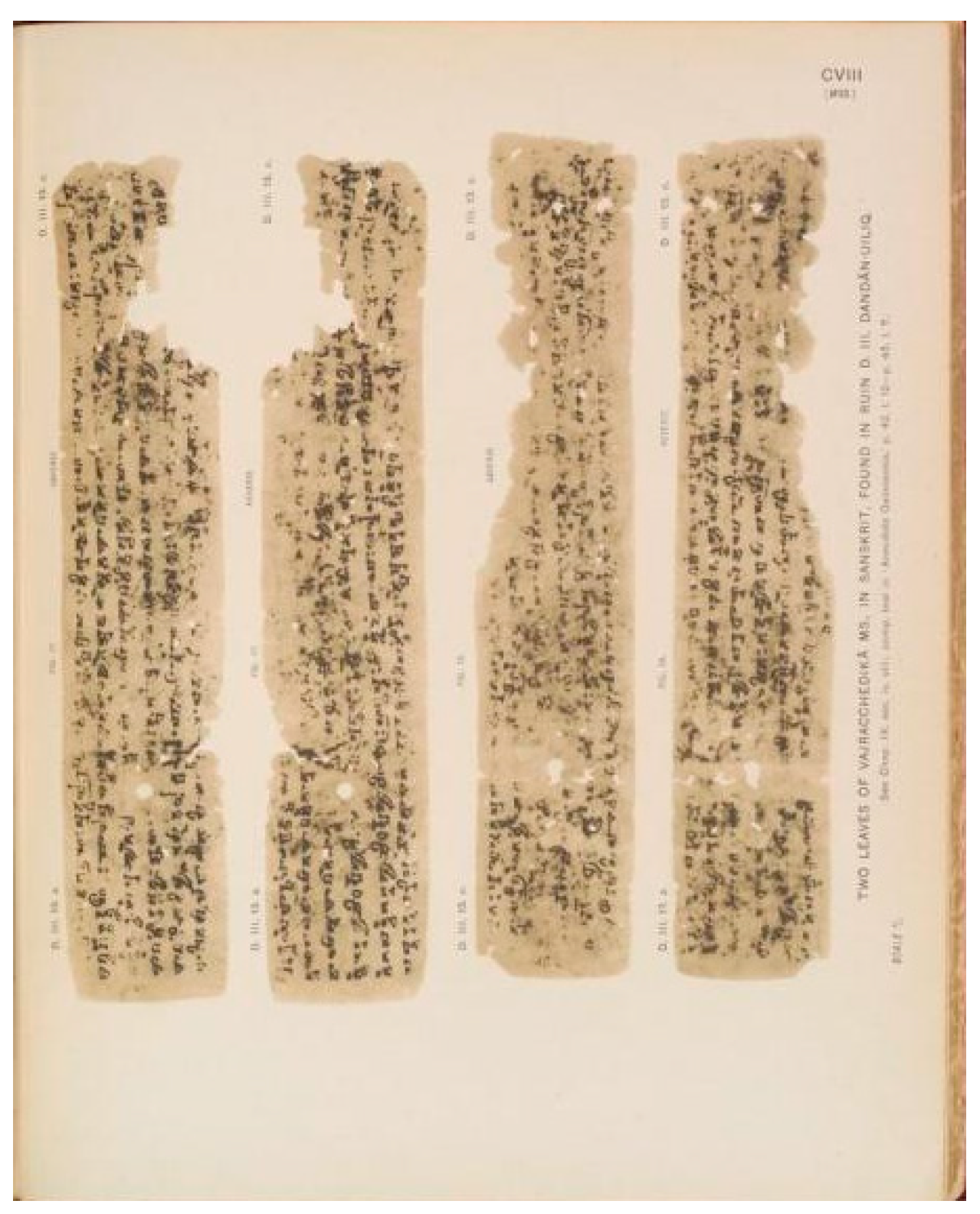 Religions 15 00737 g003