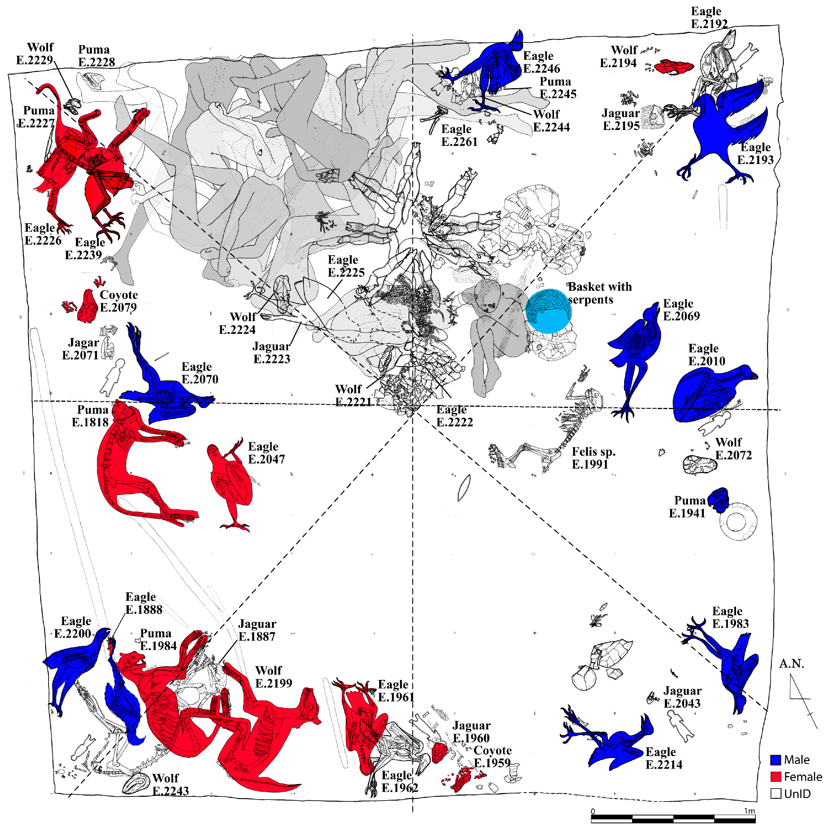 Religions 15 00817 g005