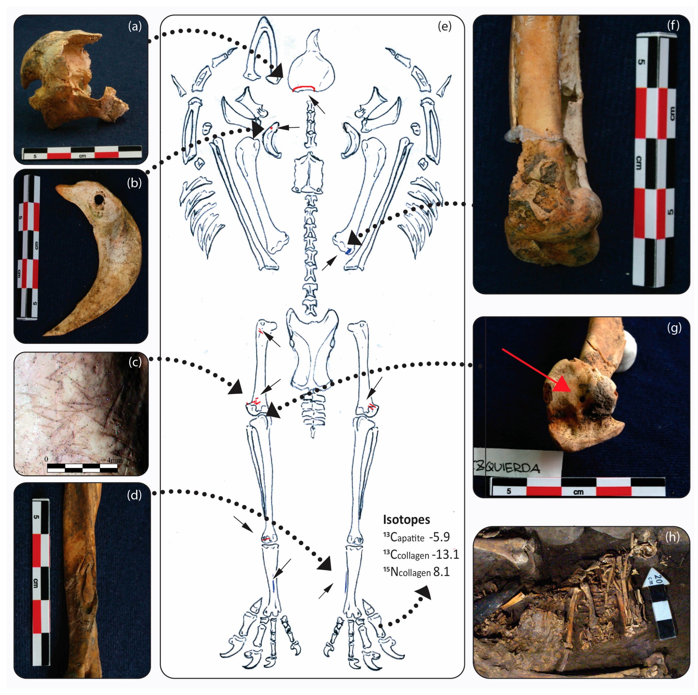Religions 15 00817 g006