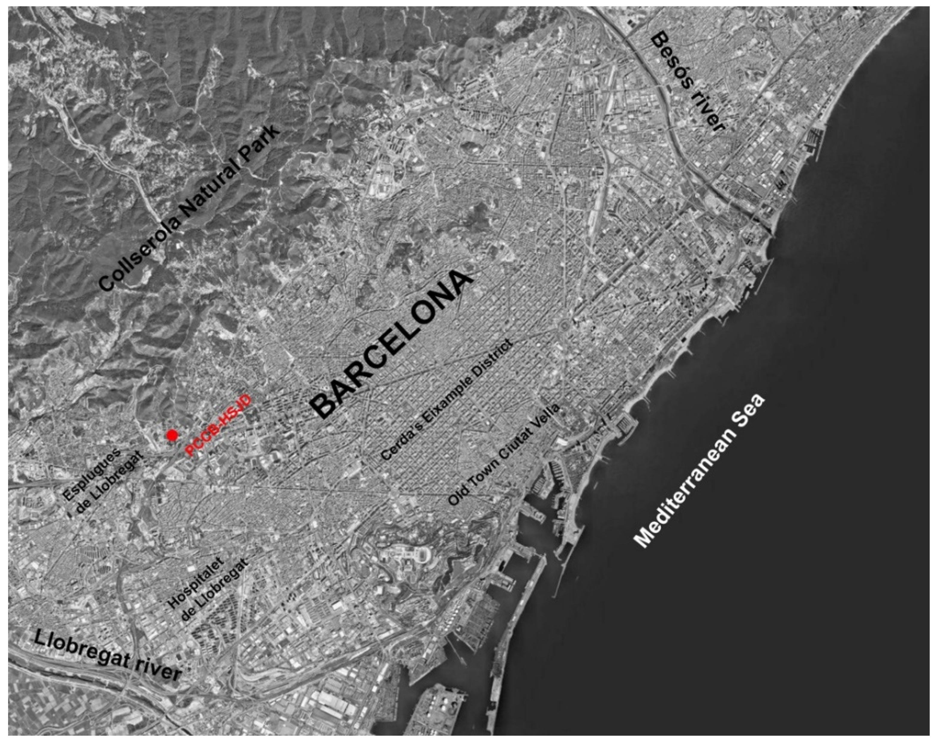 Religions 15 00922 g010