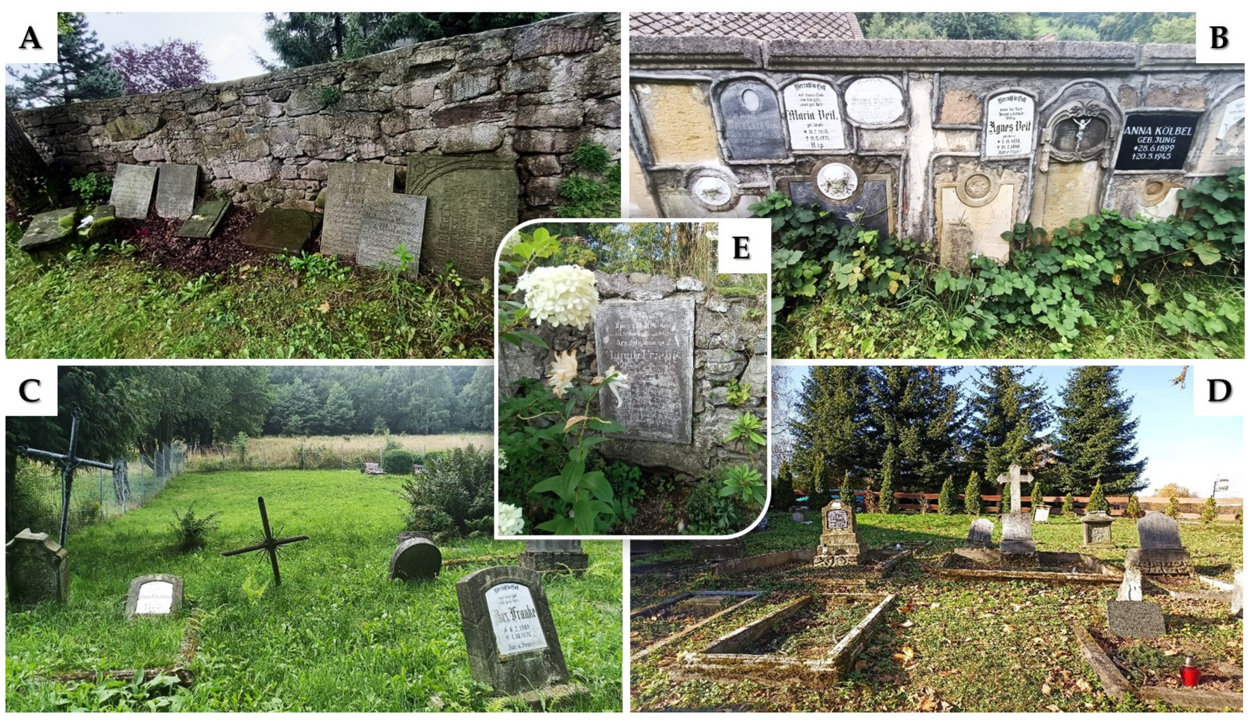 Religions 15 01001 g009