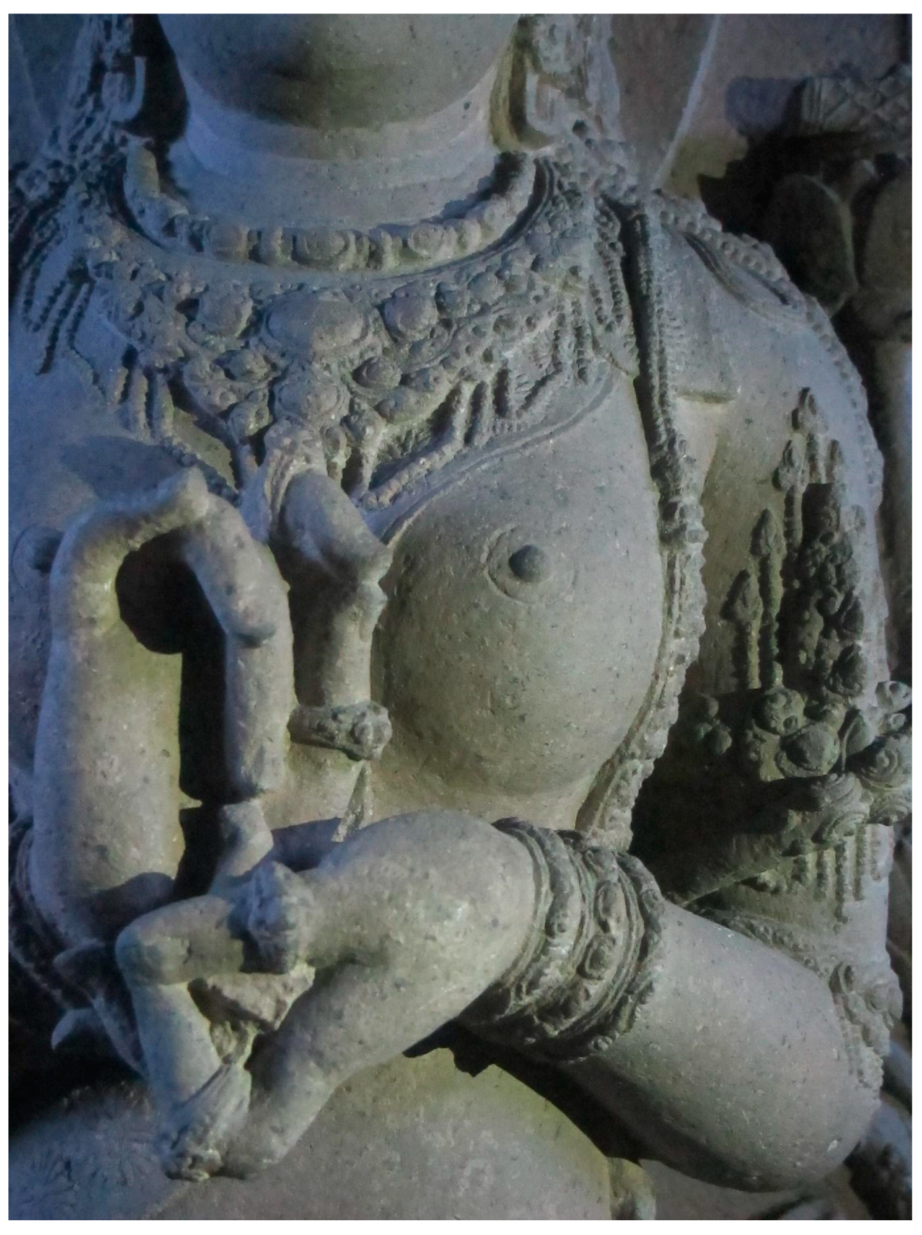 Religions 16 00084 g009