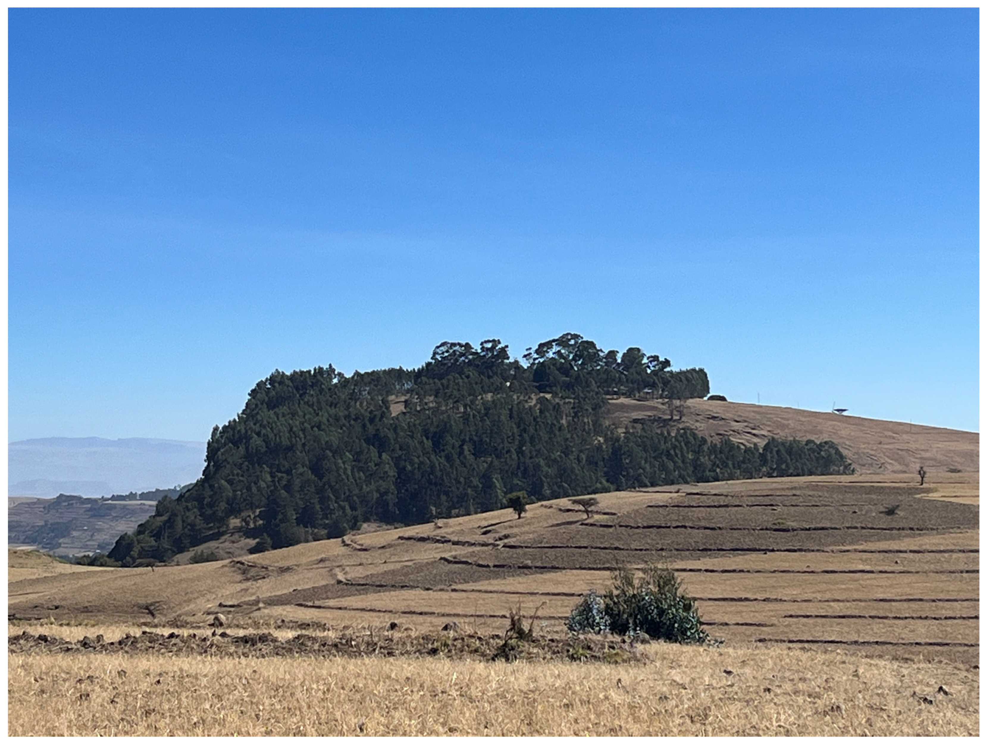 Religions 16 00146 g007