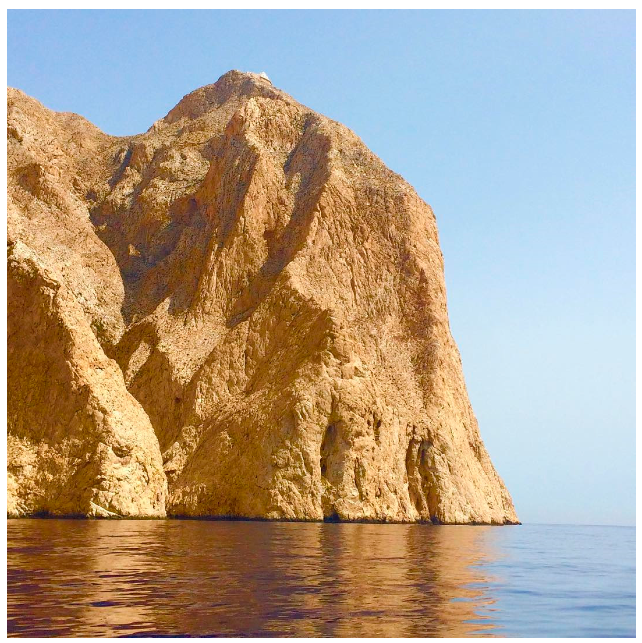 Religions 16 00278 g008