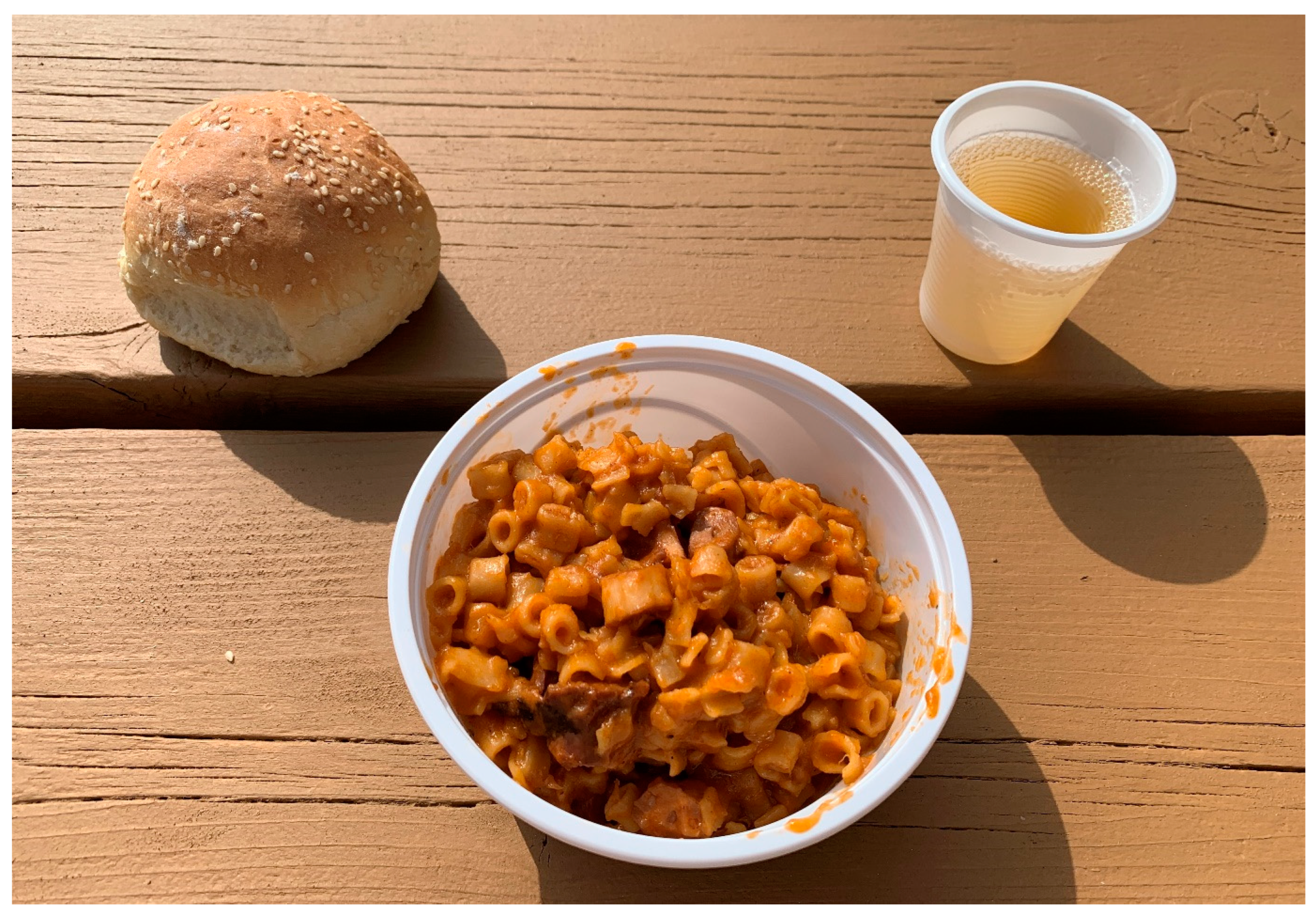 Religions 16 00278 g009