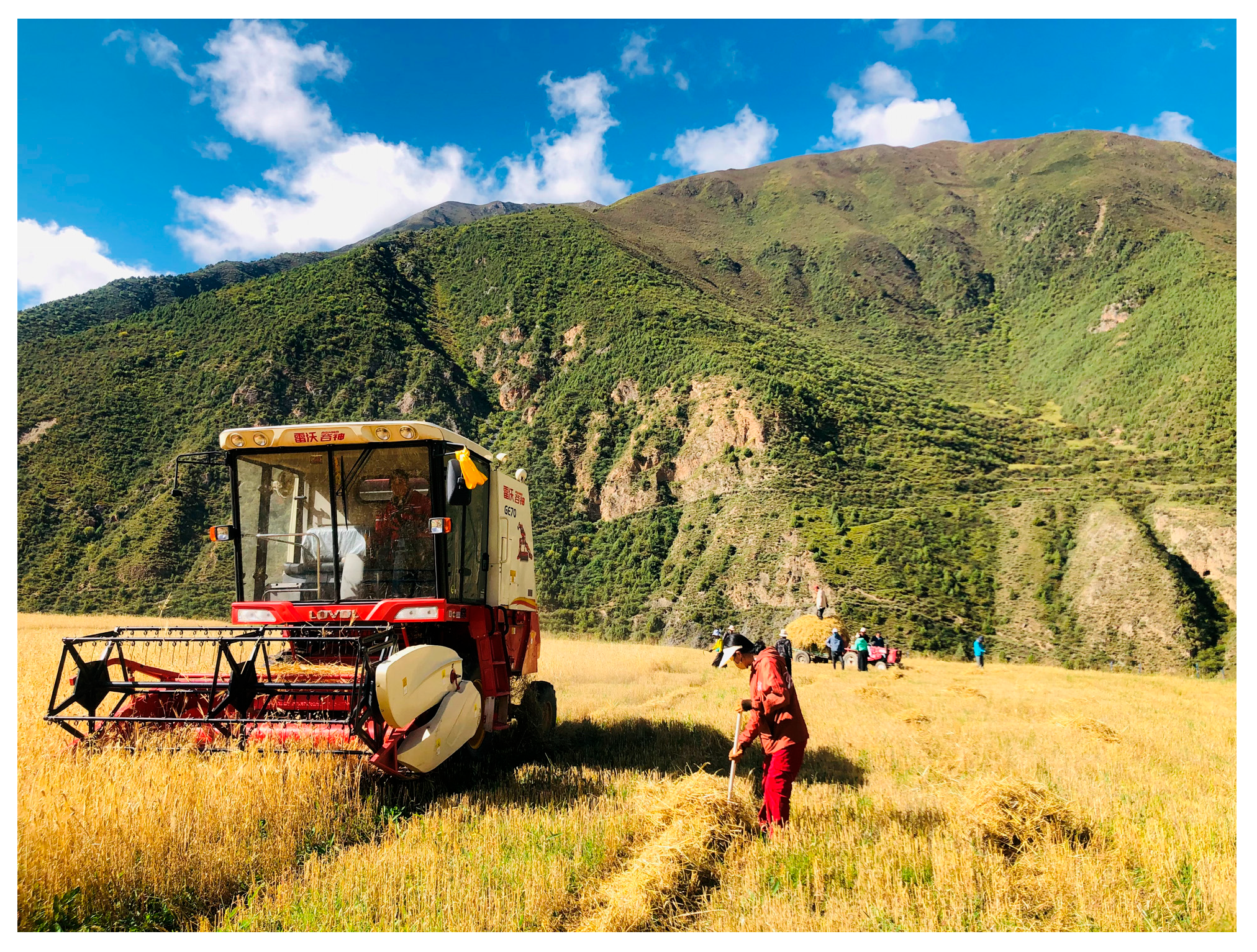 Religions 16 00373 g001