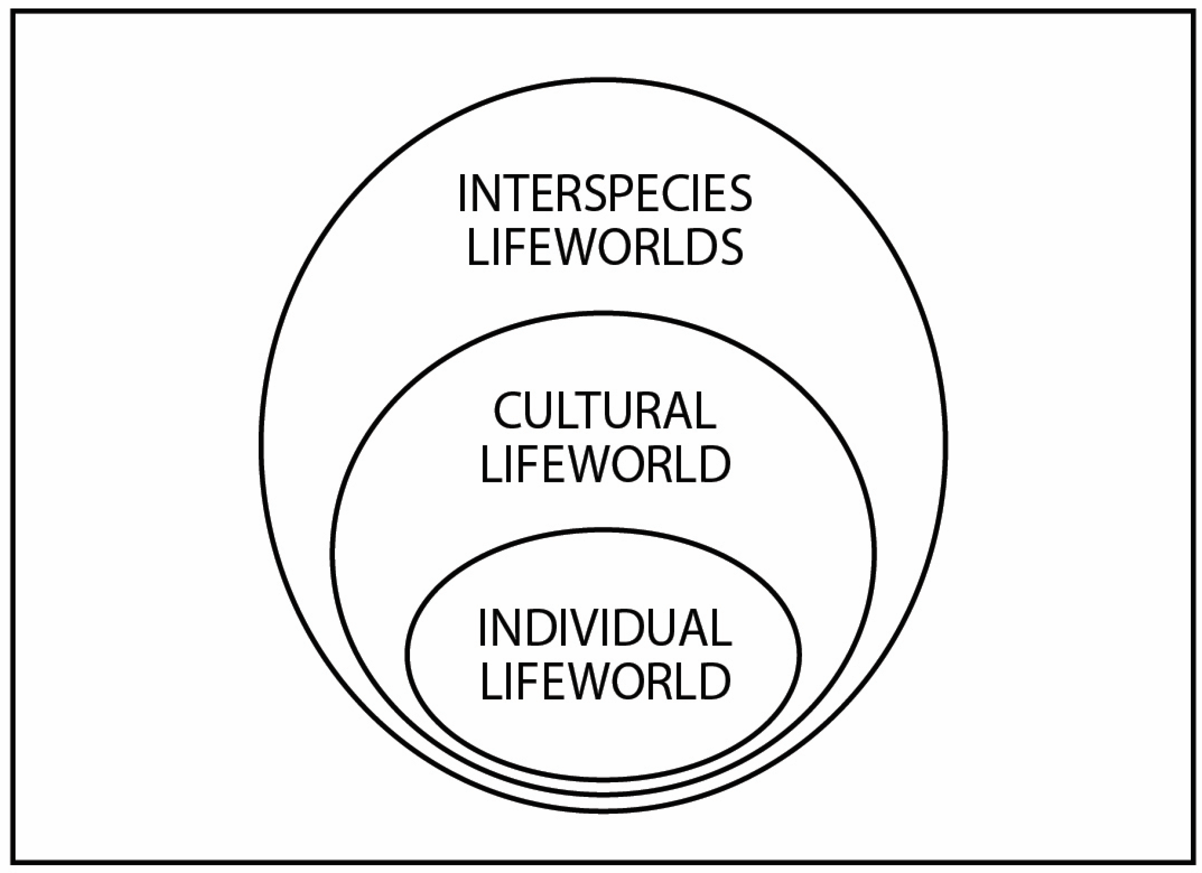 Religions 16 00411 g005