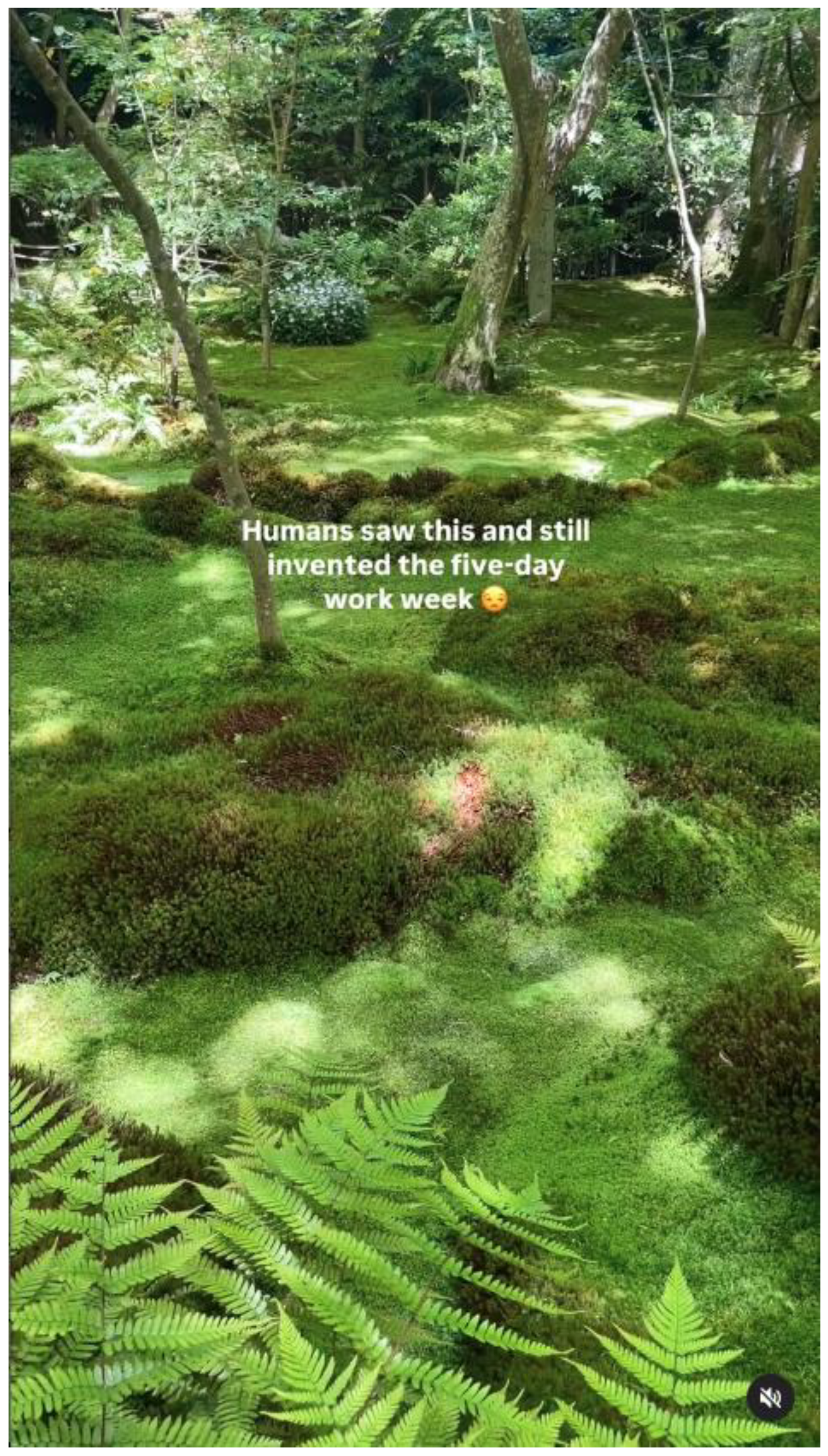 Religions 16 00447 g003