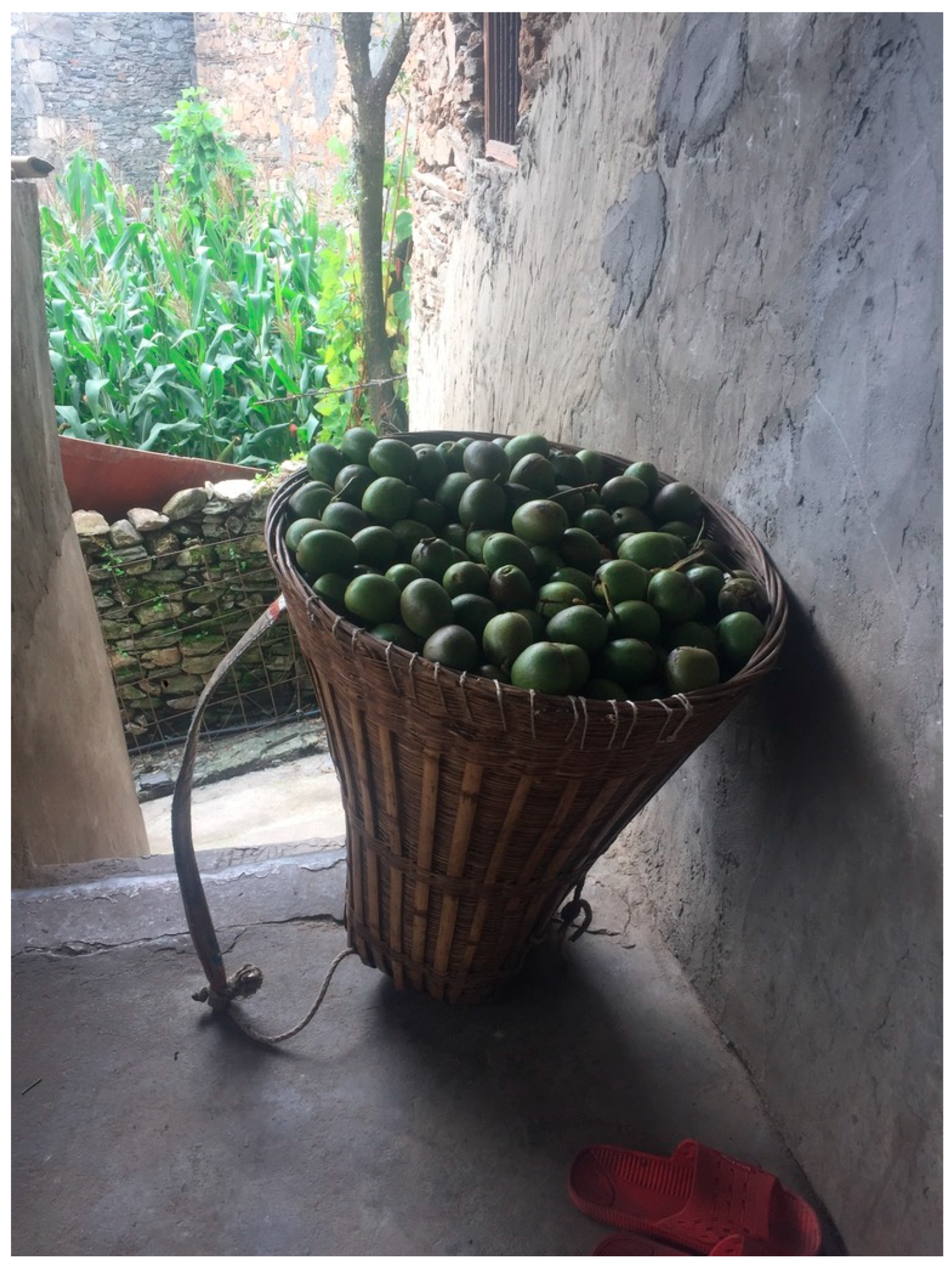 Religions 16 00539 g002