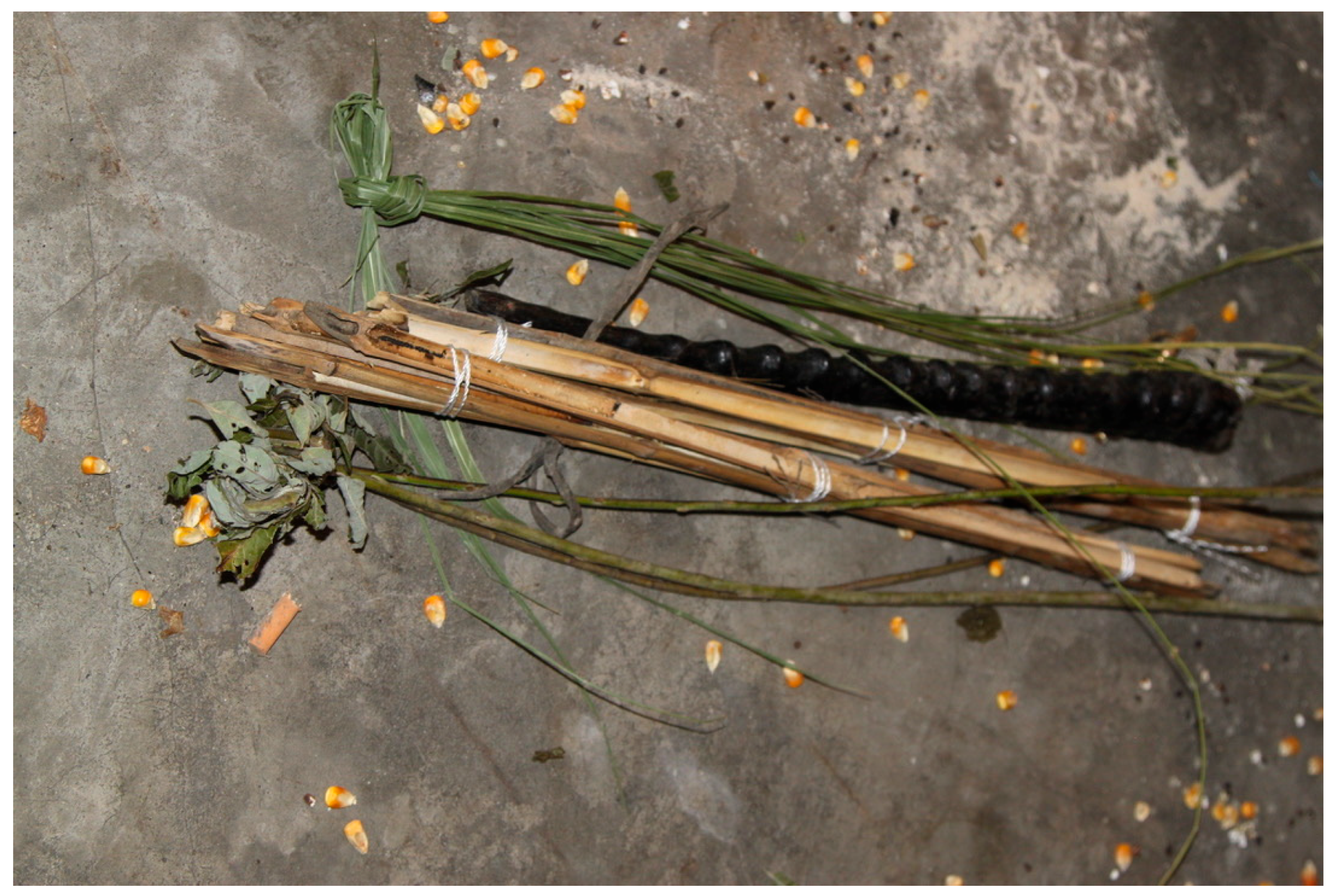 Religions 16 00539 g007