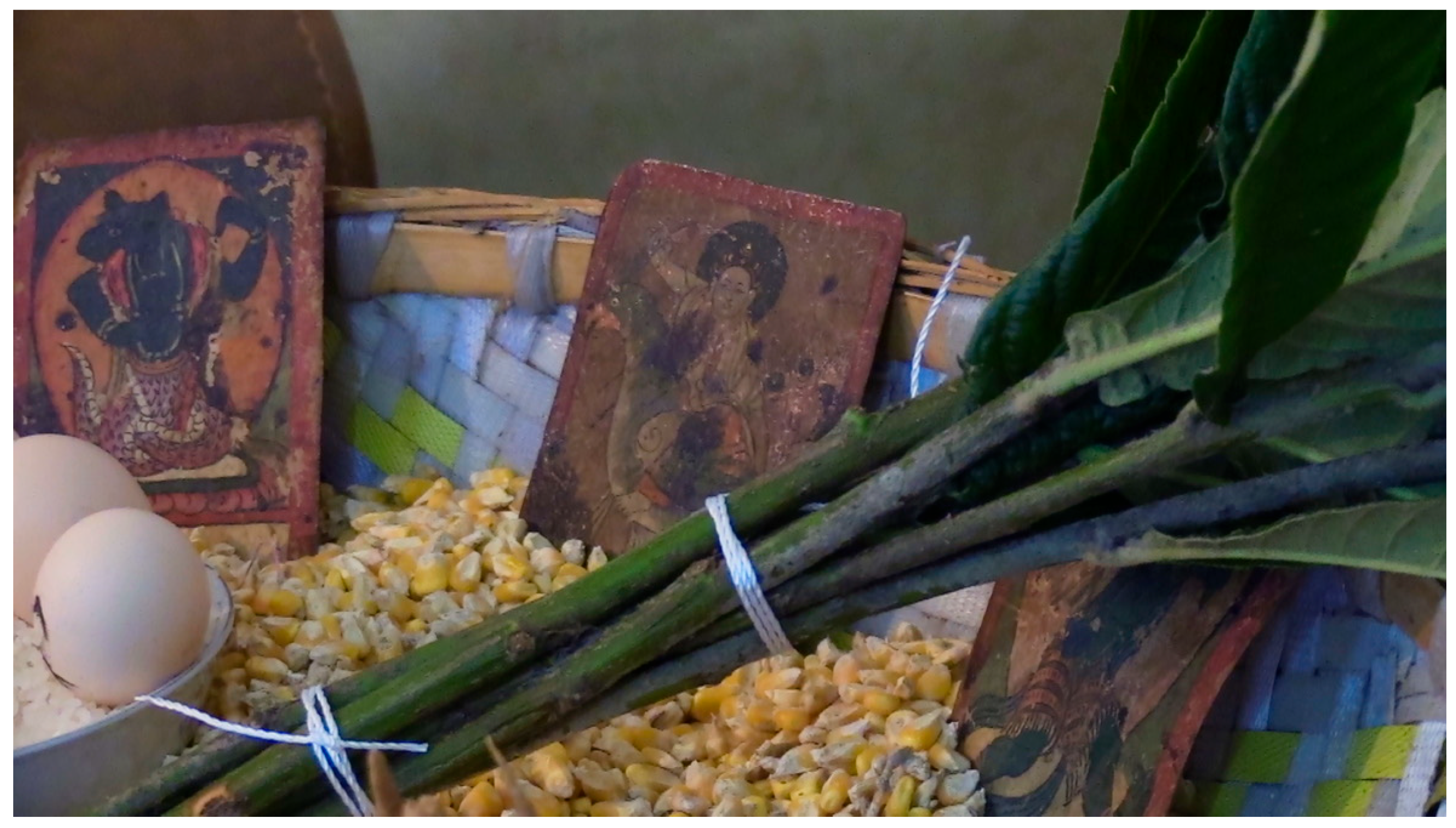 Religions 16 00539 g009