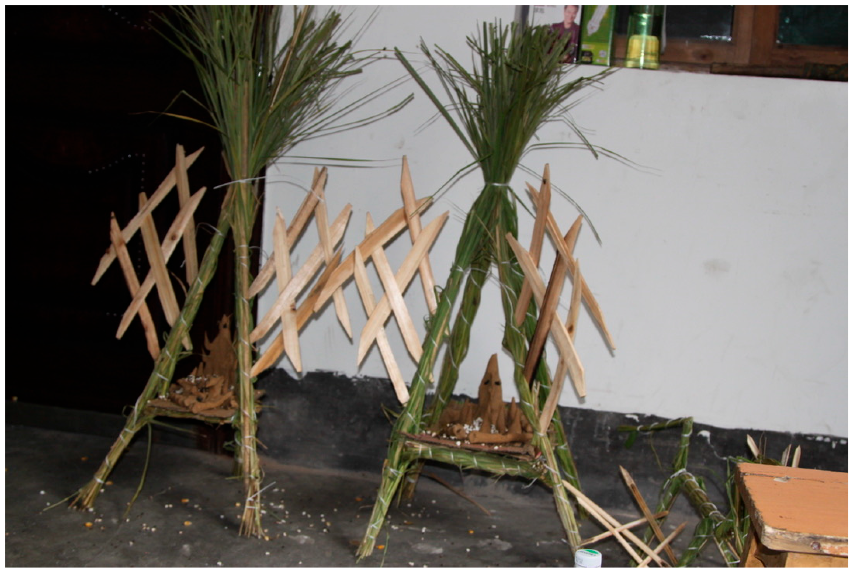 Religions 16 00539 g011