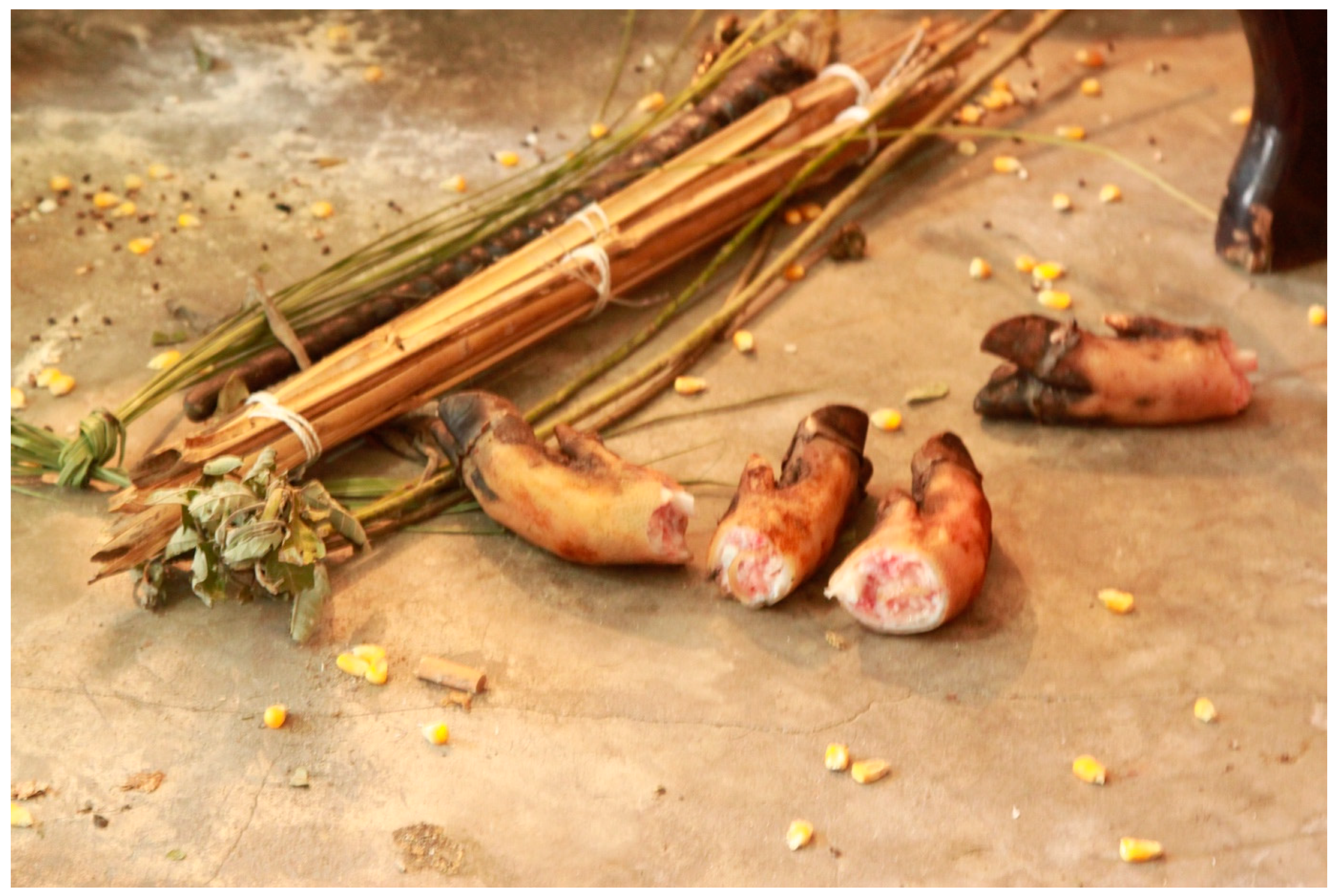 Religions 16 00539 g015