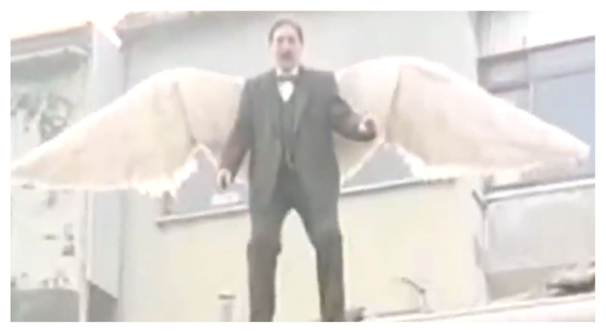 Religions 16 00787 g003