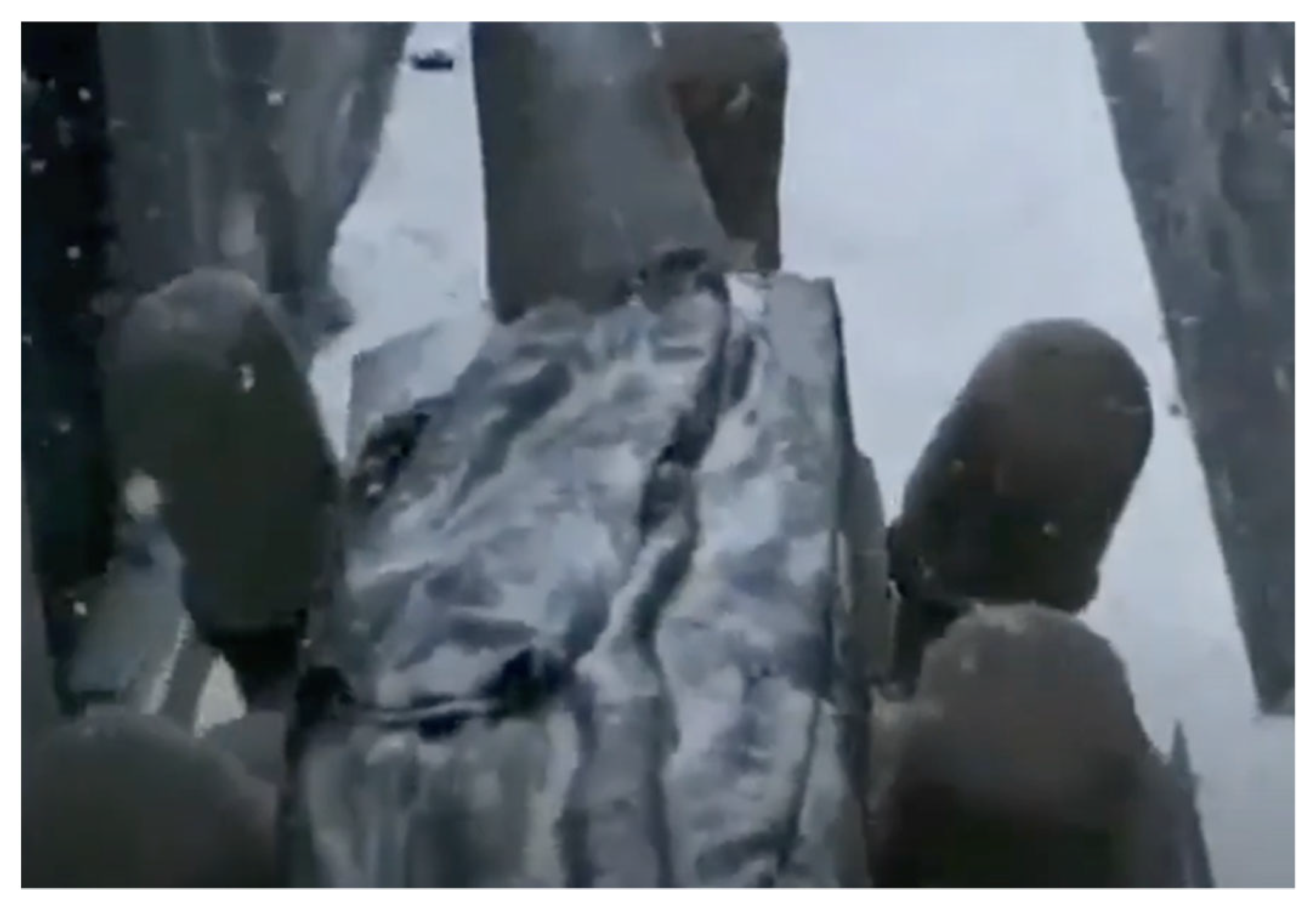 Religions 16 00787 g004