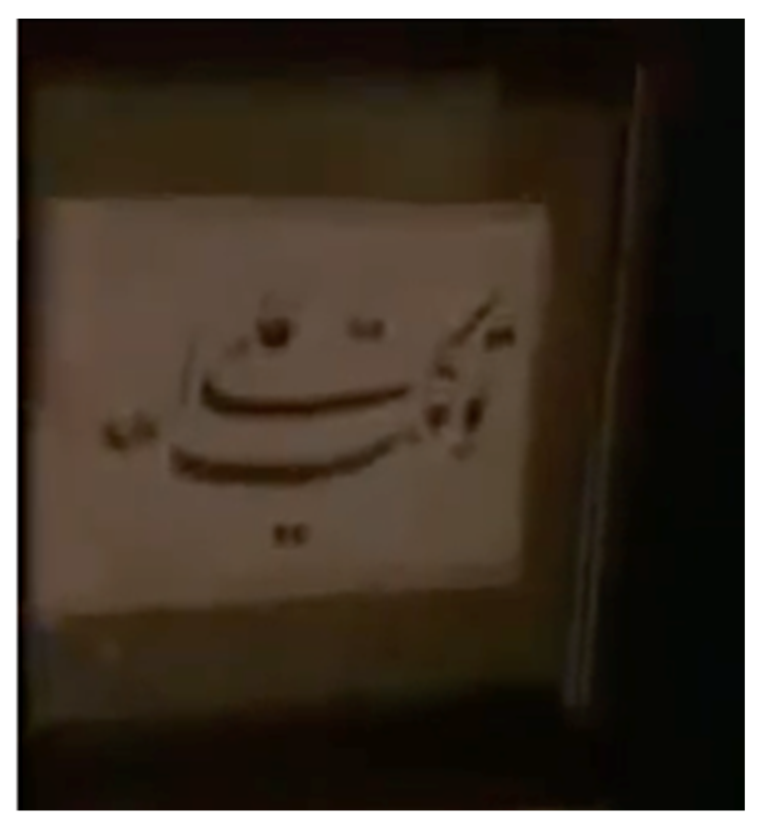 Religions 16 00787 g011