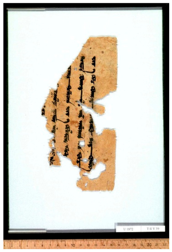 Religions 16 00899 g001