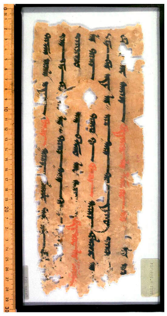 Religions 16 00899 g012