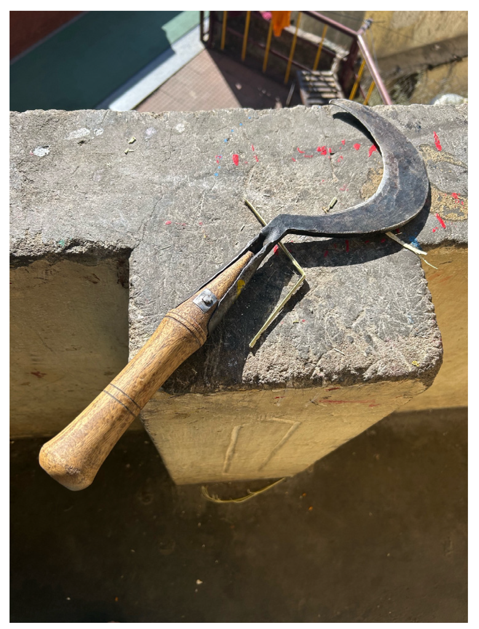 Religions 16 01067 g004