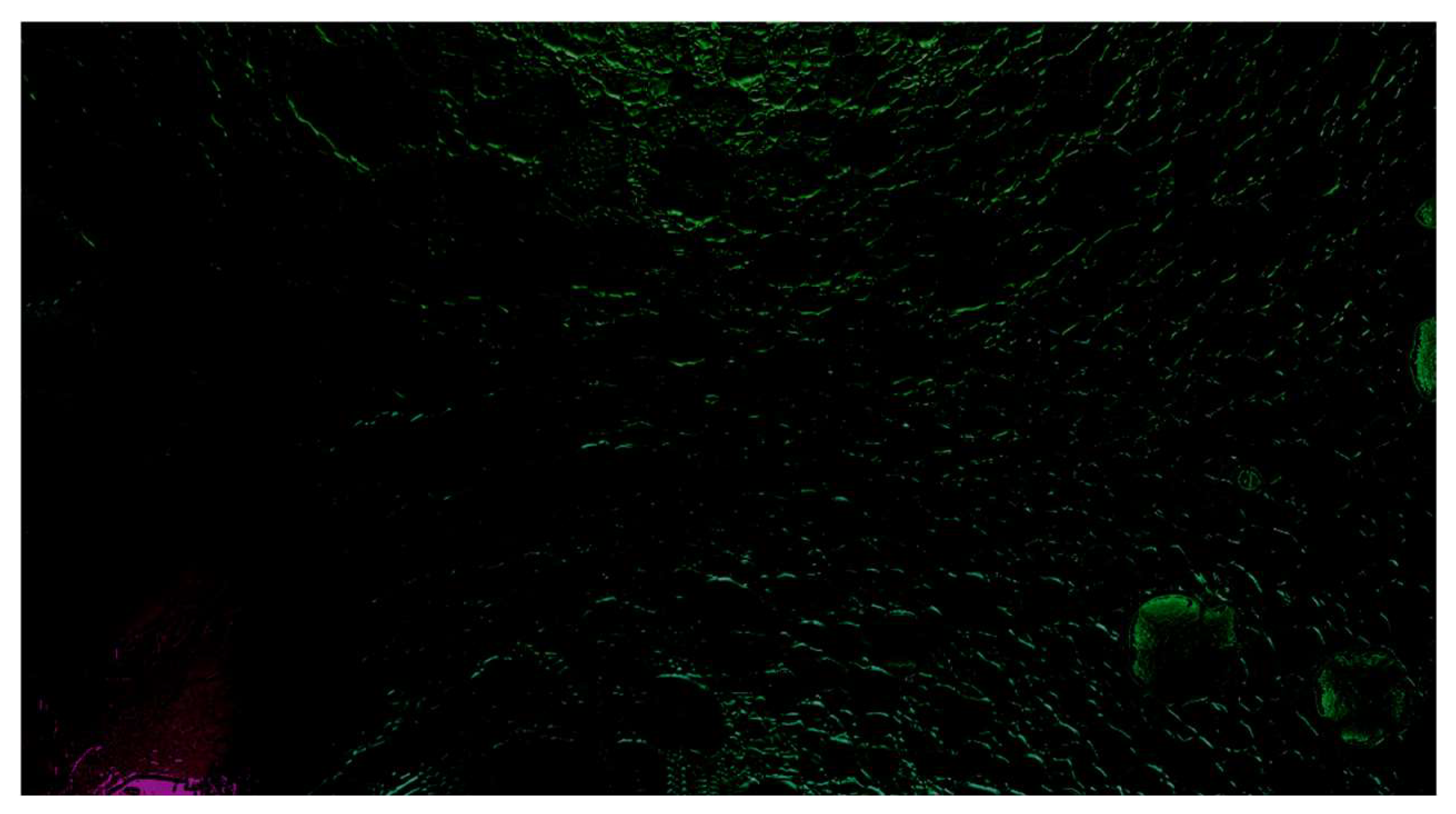 Religions 16 01230 g006 Religions 16 01230 g006