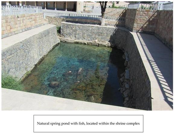 Religions 16 01524 i007