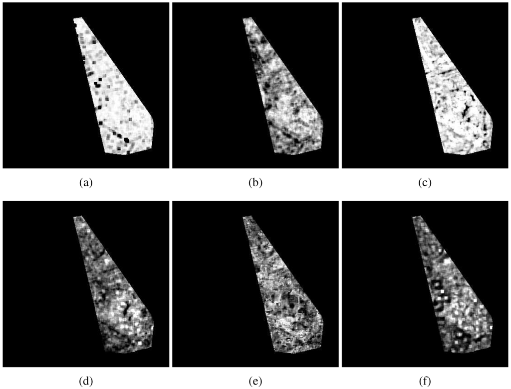 Remotesensing 01 00122 g005 1024