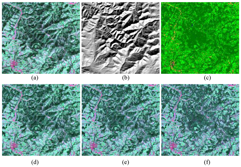 Remotesensing 01 00184 g005b 1024