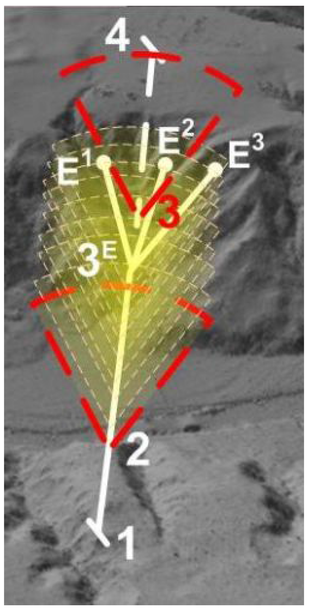 Remotesensing 01 00197 g005 1024