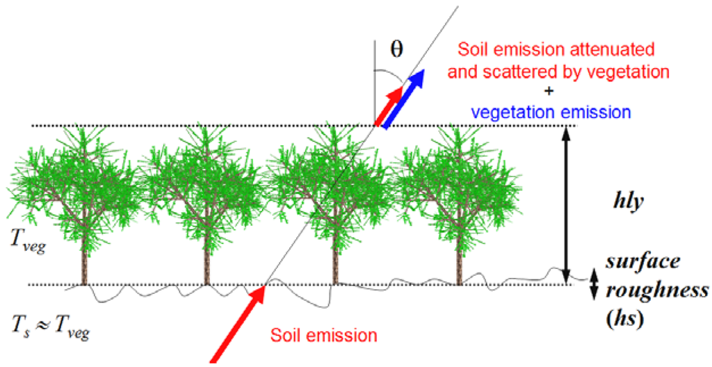 Remotesensing 01 00300 g001 1024