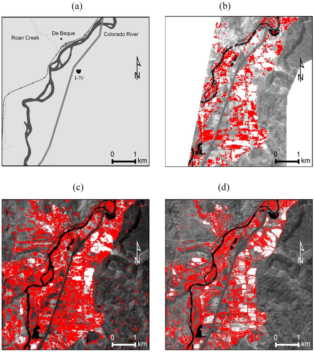 Remotesensing 01 00318 g002 1024