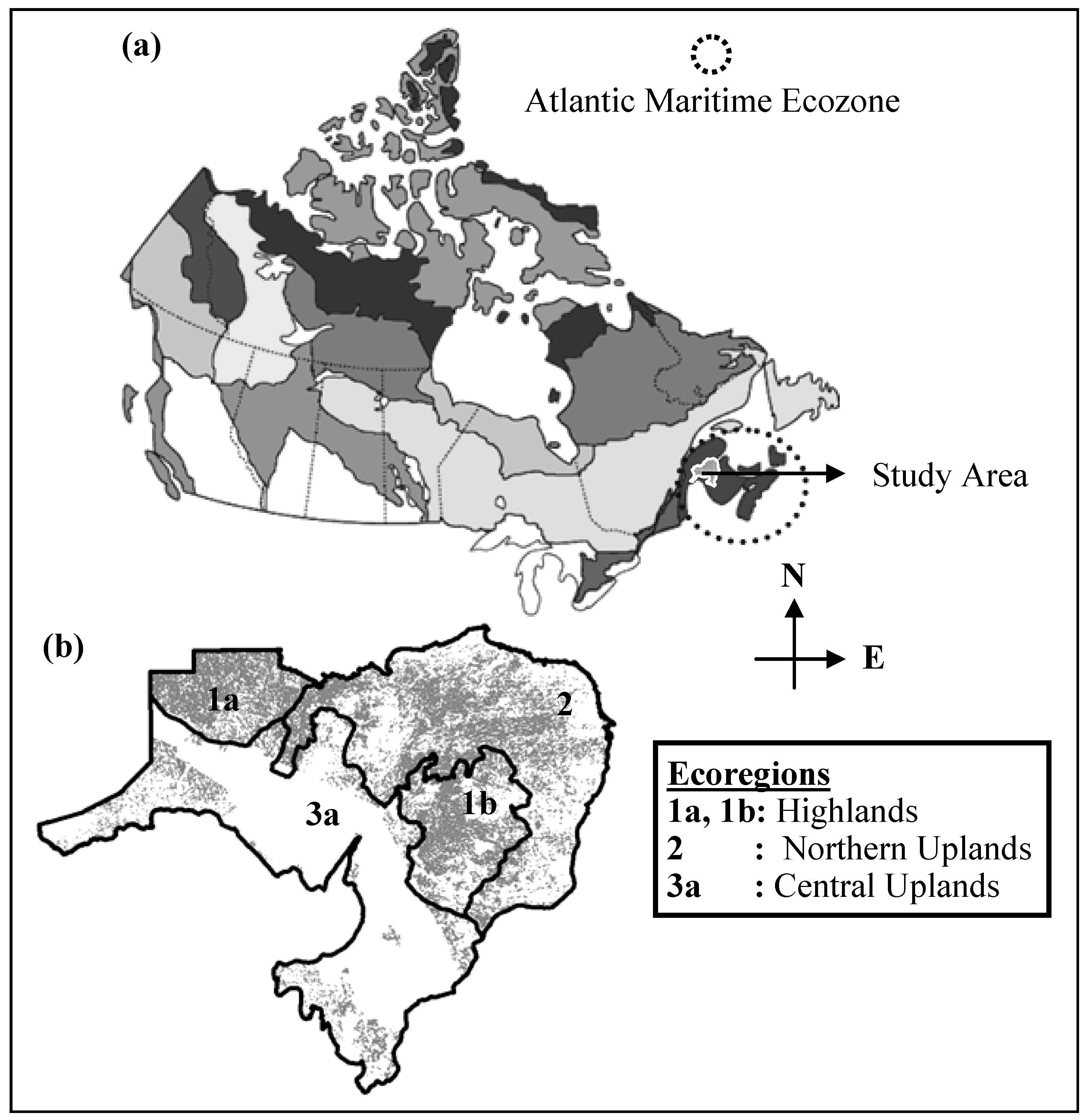 Remotesensing 01 00393 g001