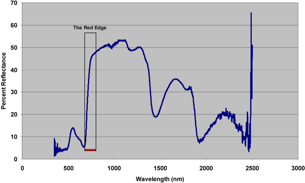 Remotesensing 01 00644 g001 1024