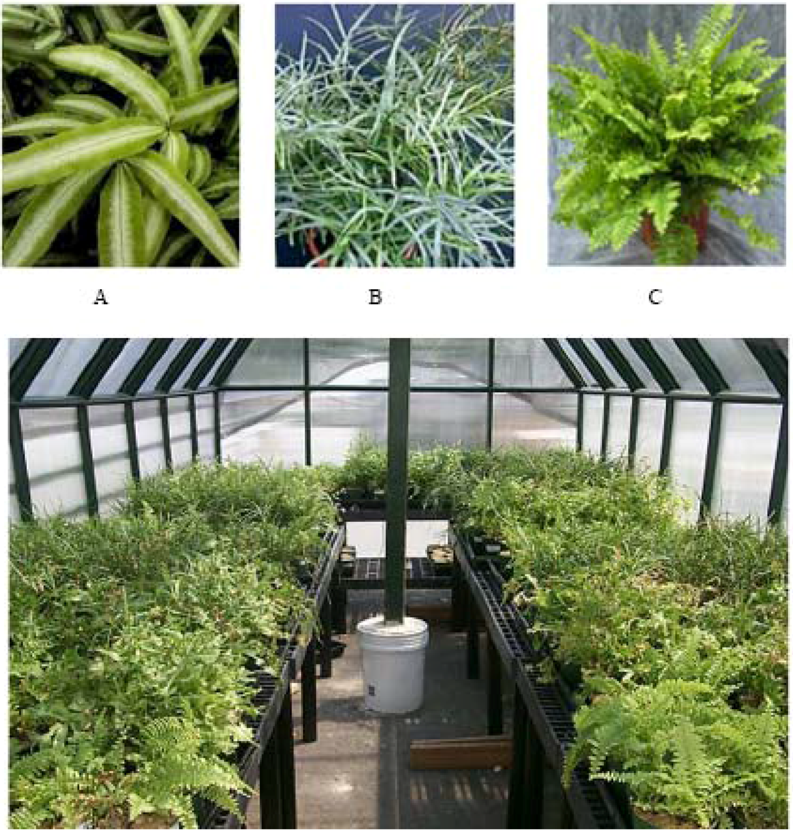 Remotesensing 01 00644 g002