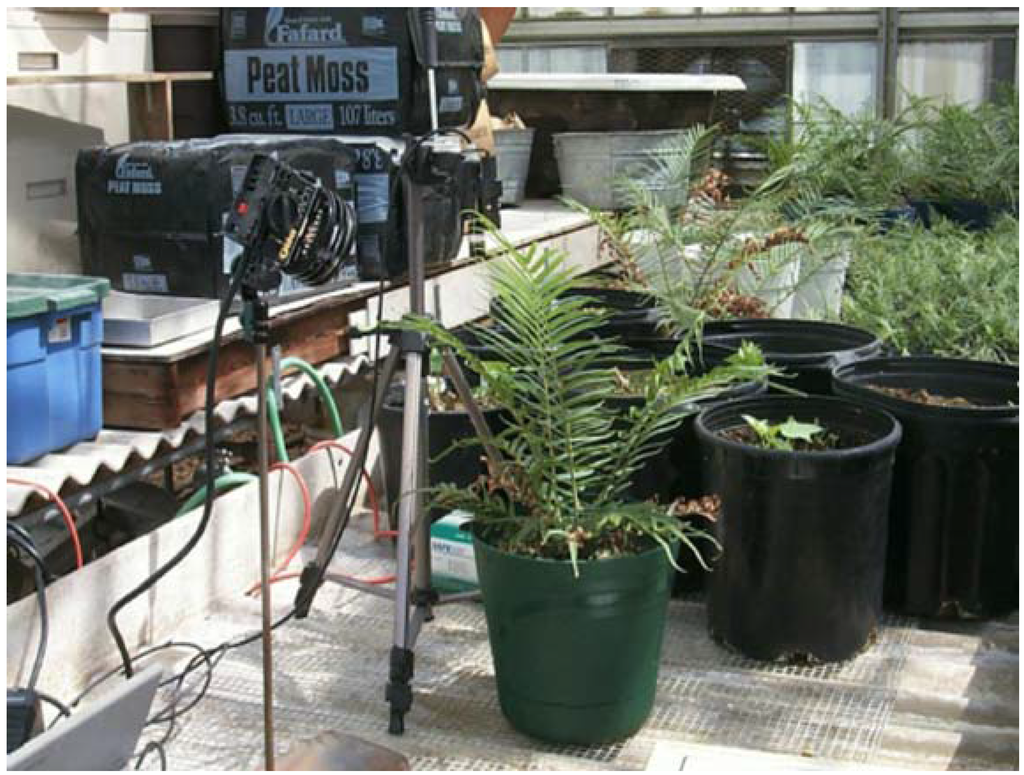 Remotesensing 01 00644 g003 1024