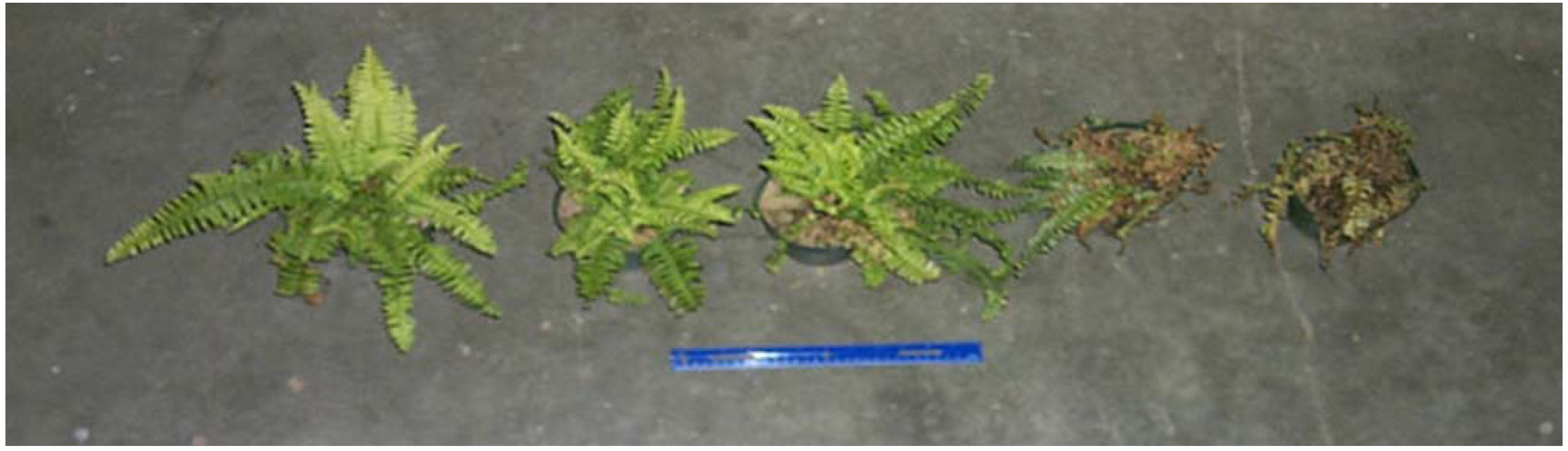 Remotesensing 01 00644 g004