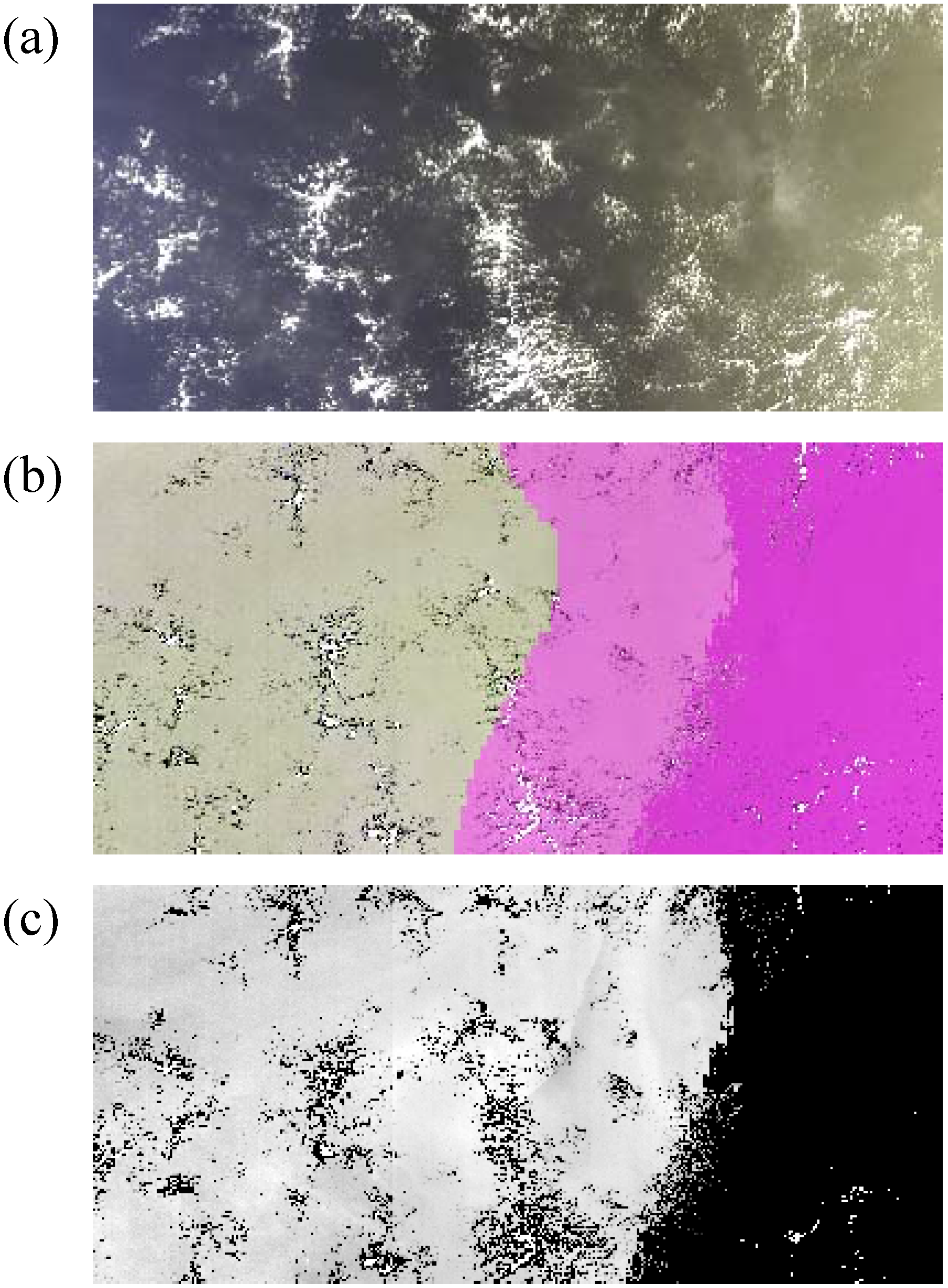 Remotesensing 01 00697 g005