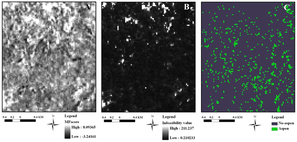 Remotesensing 01 00896 g004 1024