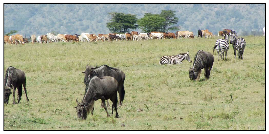 Remotesensing 01 00952 g007 1024