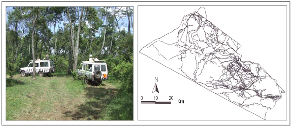 Remotesensing 01 00952 g009 1024