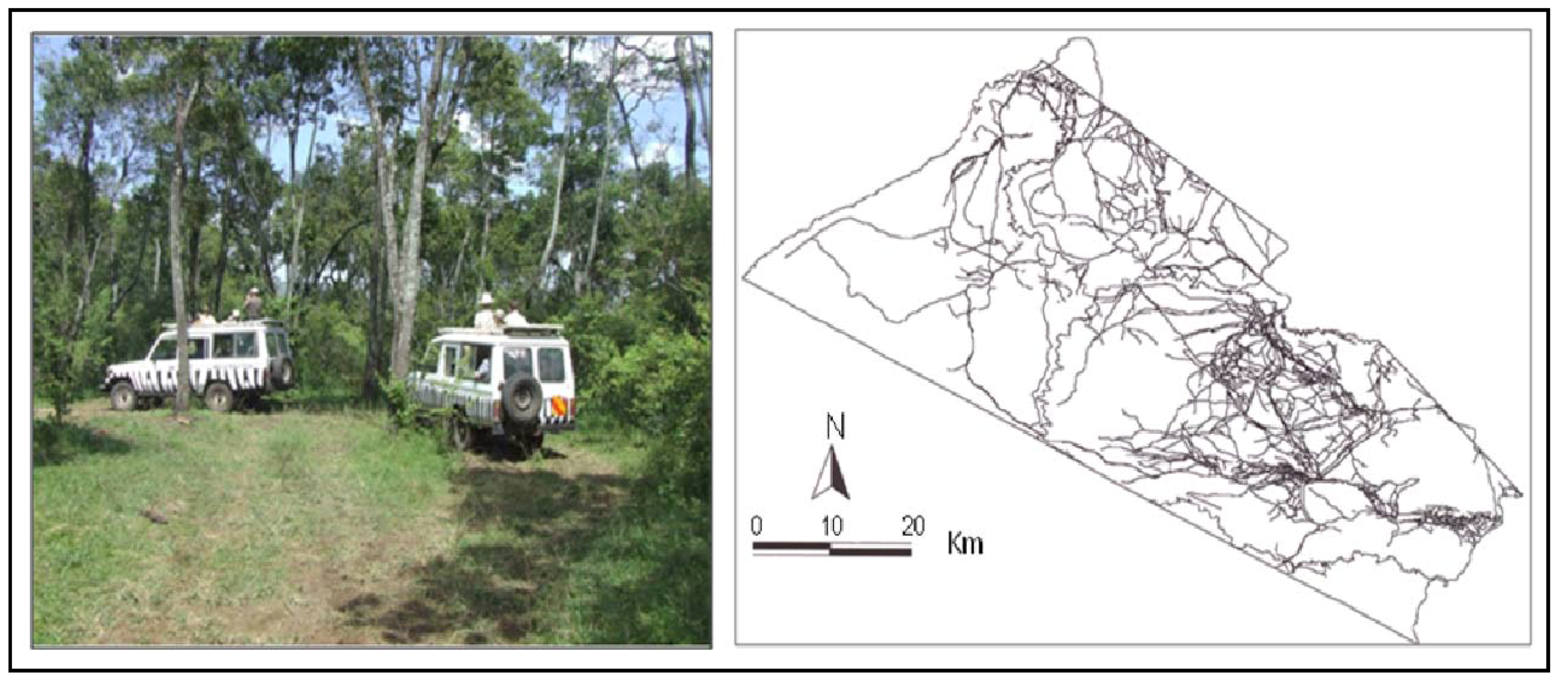 Remotesensing 01 00952 g009