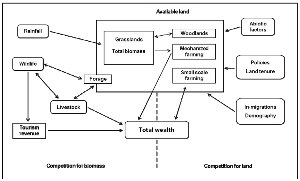 Remotesensing 01 00952 g012 1024