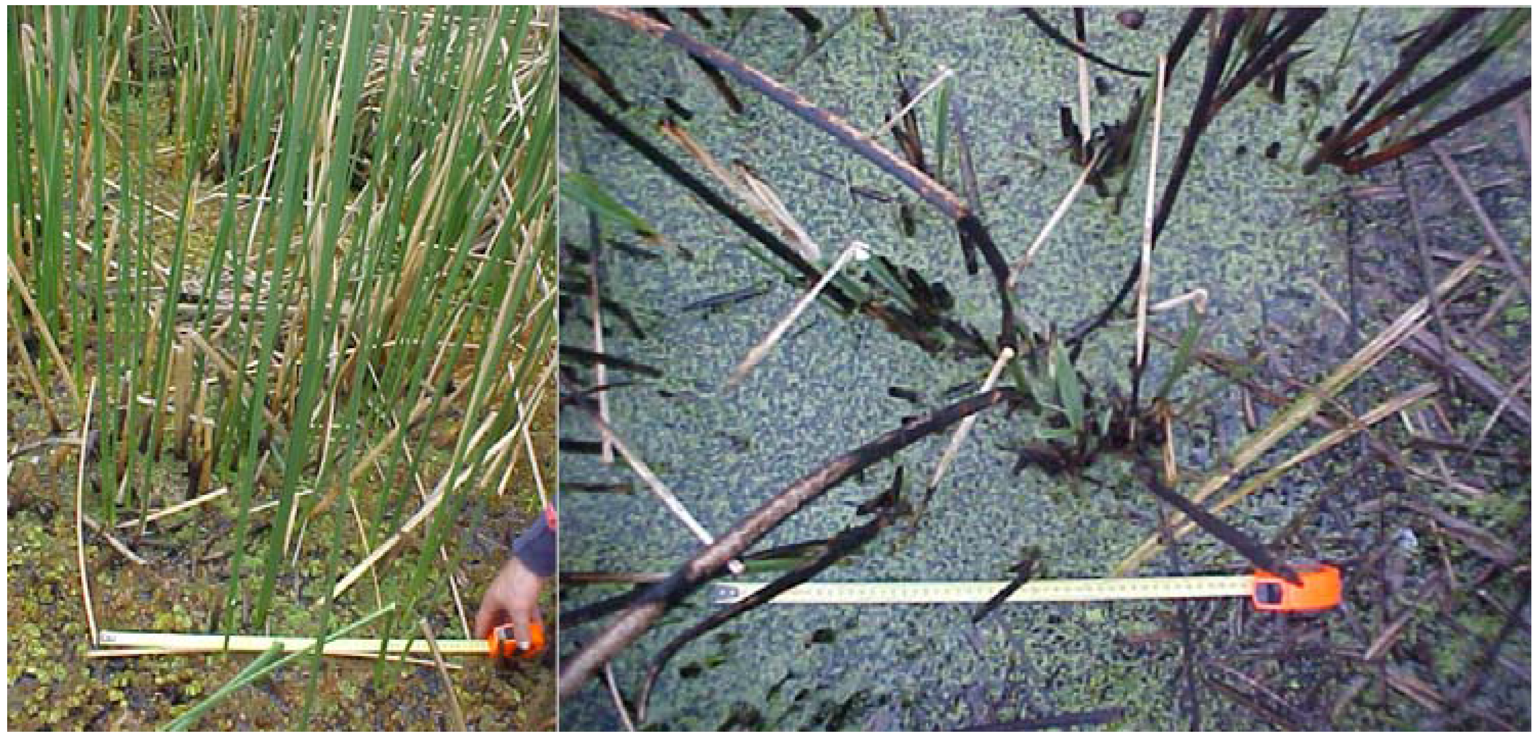 Remotesensing 01 00992 g003