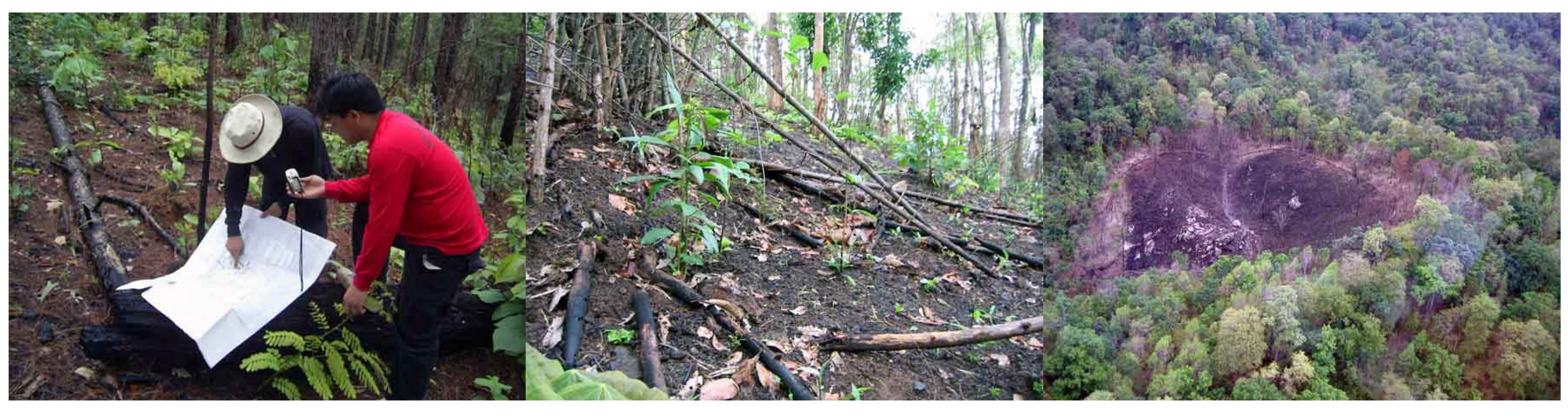 Remotesensing 01 01043 g003