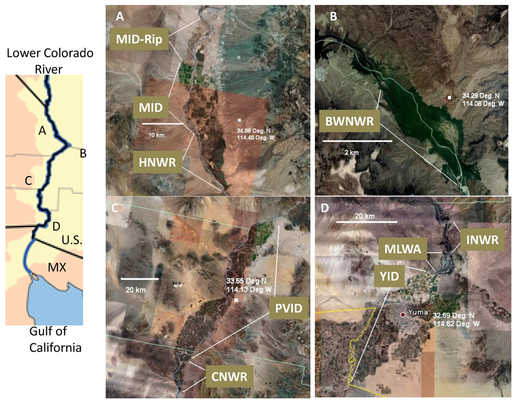 Remotesensing 01 01125 g001 1024