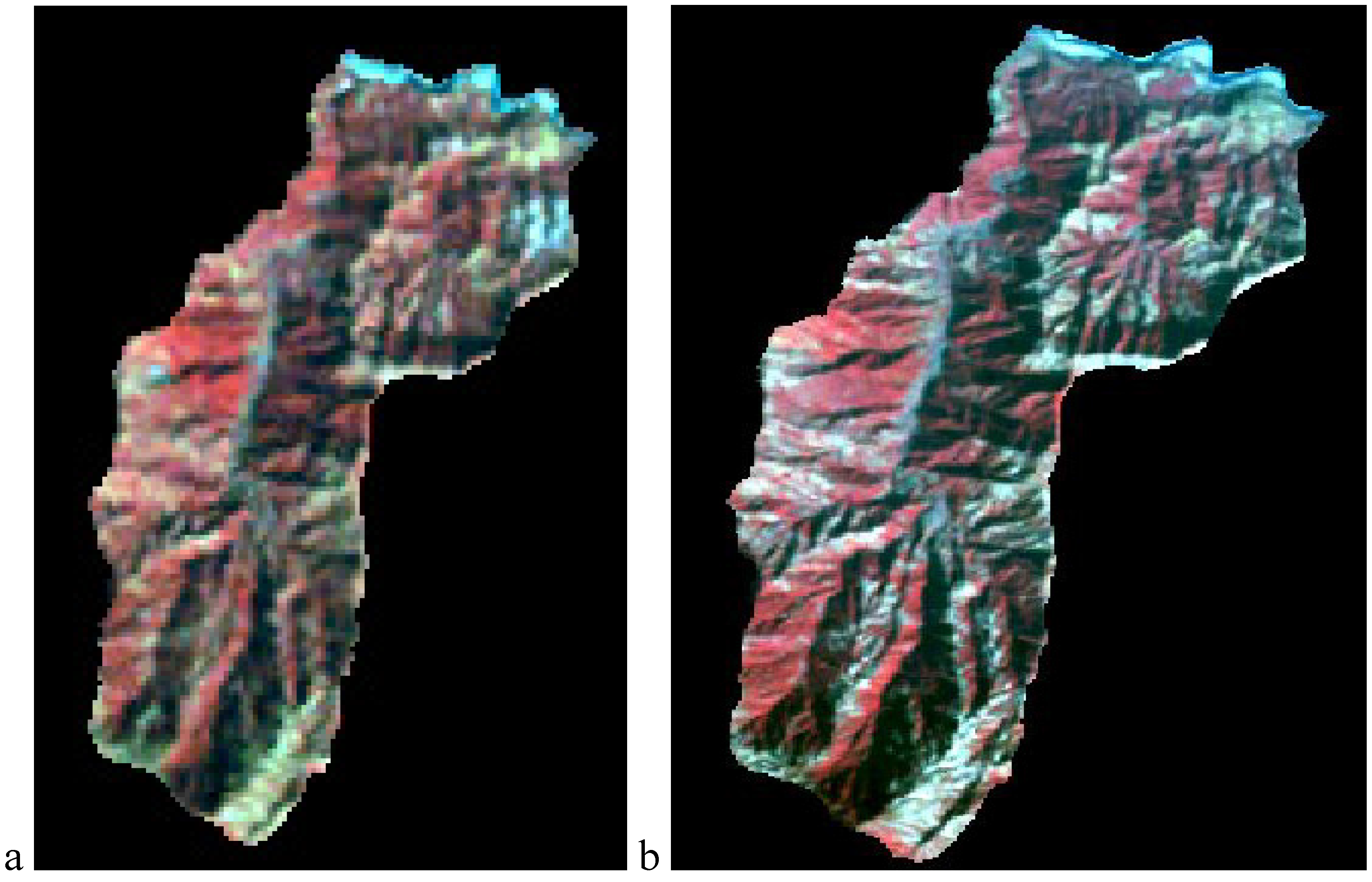 Remotesensing 01 01257 g002a