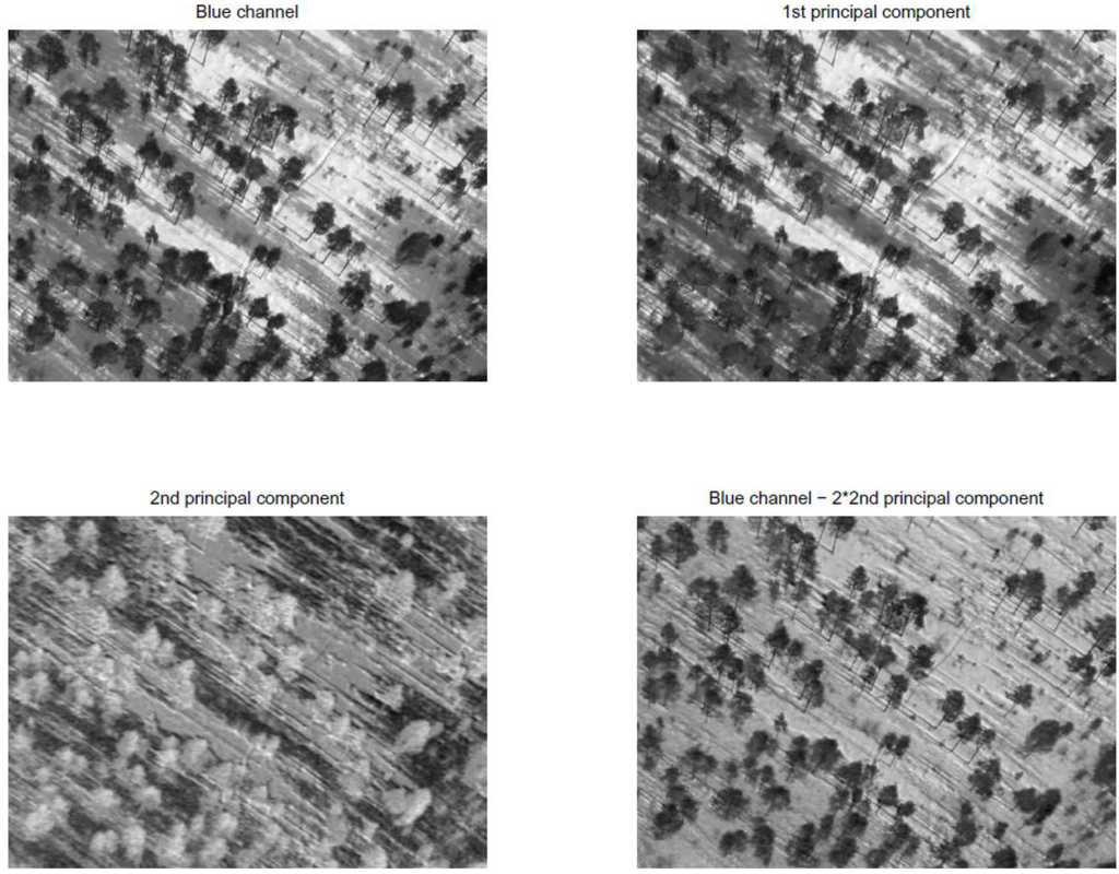 Remotesensing 01 01380 g002 1024