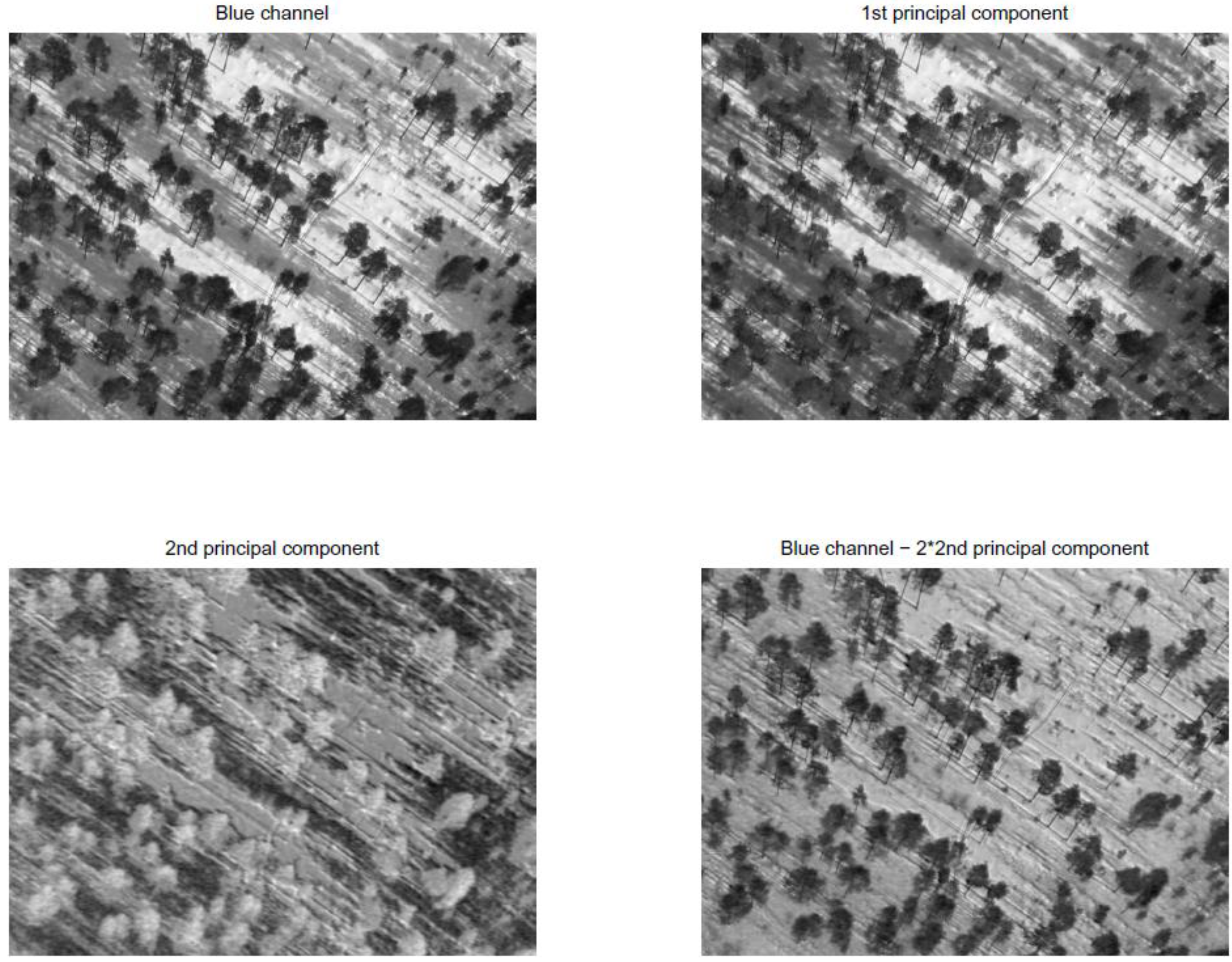 Remotesensing 01 01380 g002